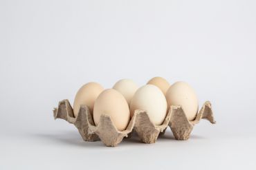 Free Range Eggs